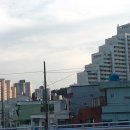 대지꽃집 이미지