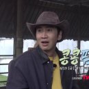 팜팜