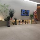 명지본튼튼의원 이미지