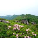 소백산계곡민박 이미지