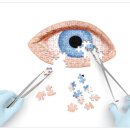 눈사랑안과의원 이미지