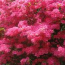 삼풍가든 이미지