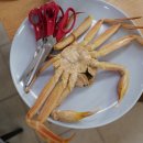 부부대게 이미지