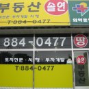 솔연 이미지
