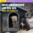 서울동물 이미지