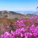 검단출장소(3) 이미지