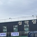 백운호 | 속초맛집 설악항 활어회 횟집 추천 백운호 에서 광어회 포장후기