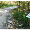 교룡산 둘레길 이미지