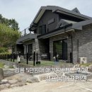 꼬모도펜션 | 강릉 애견동반펜션 경포몽애견펜션 5만원대 숙소 후기