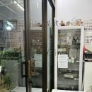 치앙마이 풋 케어 kat nail art and spa 츄천