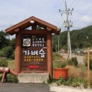 오대산 곤드레밥 이미지