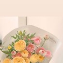 송이플라워 - 진주시 대신로348번길 19 | 송이플라워