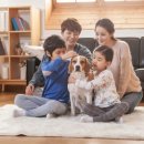 에이드동물병원 이미지