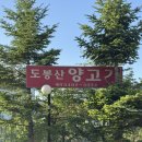 웰빙갈비랑메밀막국수 | 서울 도봉산 하산 후 찐맛집 "도봉산양고기" 삼각갈비 갈비살 메밀막국수 먹고 온 솔직후기 [내돈내산]