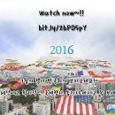 축제-평화의 축제 이미지