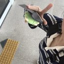금공농장 네이버블로그