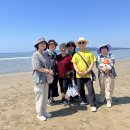 사회복음화 분과 신두리 해안사구 생태탐방 이미지