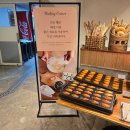 팔조천 | [제주도 조천 숙소] 제주 5성급 에코랜드 호텔 숙박 후기 객실 조식 수영장 헬스장 리뷰
