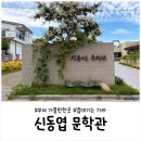 국립부여박물관 기획전시실 | 부여 여행 가볼만한 곳｜「껍데기는 가라」 신동엽문학관, 가족여행 후기