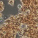 천인지한의원 이미지