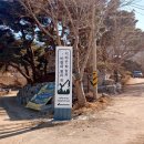 지리산하늘과바람과별과개 이미지