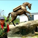 고랑포구역사공원 이미지