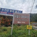 비발디 캠핑파크 이미지