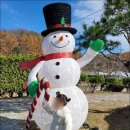 캠핑494 | 양평캠핑장 비앙드팜 글램핑 바베큐 애견동반 키즈프렌들리 공간 후기