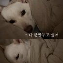 수봉산파스타 | 호주 시드니 5-6일차 | 햇살 가득 본다이비치☀️🌊 + 해리포터 전시회⚡️🖤