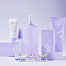 드림제주