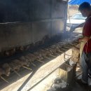 치앙마이 4일차 님만해민 맛집 소품샵 후기 추천 무삥쿤퍼 위치안부리로스트치킨 선데이마켓 떵뗌또