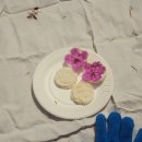 동백유치원 이미지