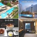 호텔메종 | 국내 제주도여행 숙소 추천 메종글래드 제주 호텔 내돈내산 후기 수영장 패키지 특가