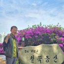 초막골 생태공원 Daum카페