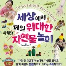 책놀이숲놀이유치원 | 유아 숲놀이 연간계획안 / 그림책 자연물 놀이 특색 프로그램 / 숲 어린이집, 숲 유치원 추천