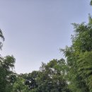 나오스빌라 이미지