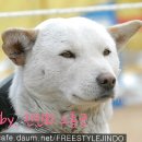 미적공감