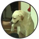 추월농장 이미지