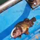 힐하우스민박 이미지