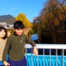 남천고을 이미지