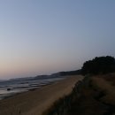 진짜루 네이버블로그