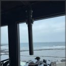 바다를 품은 돼지 이미지