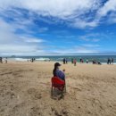 바다정원 이미지