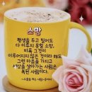 휴일 - 서구 | 휴일