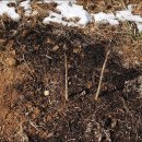 고령농장(2) 이미지