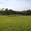 대구대학교 이미지