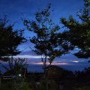 해안동백펜션 이미지