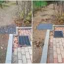 천왕초등학교 이미지