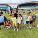 금성스쿨 이미지