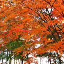 선화로 이미지